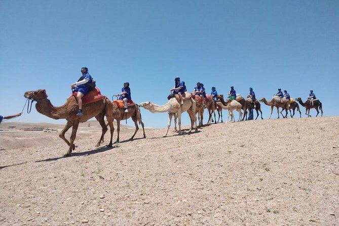 Agafay camel ride - Key Points