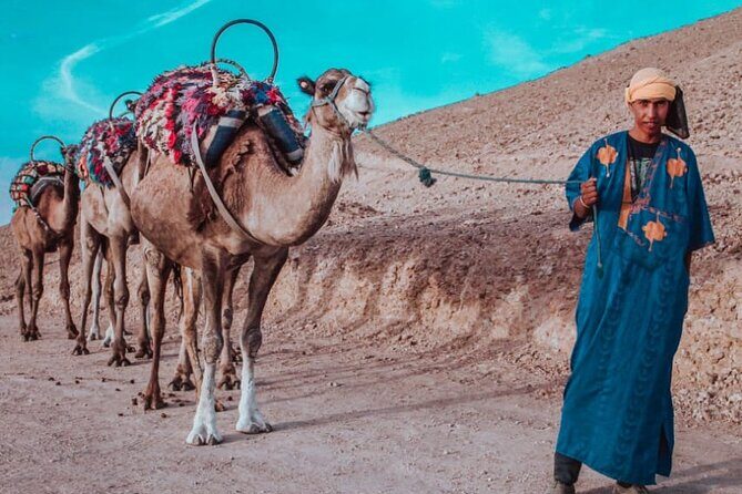 Agafay camel ride - The Details of the Agafay Camel Ride