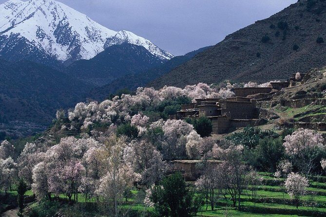 Agafay Camel Ride & Ourika Valley in Atlas mountains - Who Should Consider This Tour?