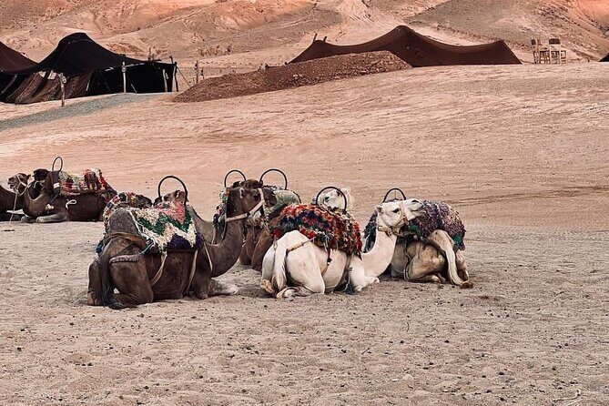 Agafay Camel Ride & Ourika Valley in Atlas mountains - Final Thoughts: Is It Worth It?