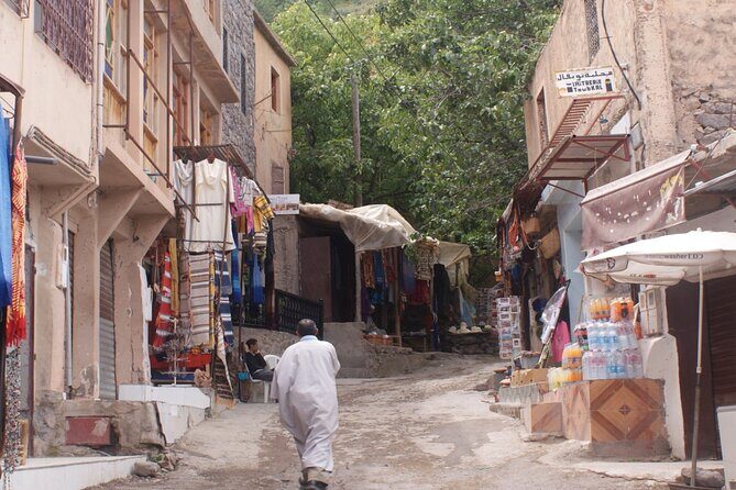 Agafay Desert and Atlas Mountain Tour with Camel Ride and Lunch - The Sum Up