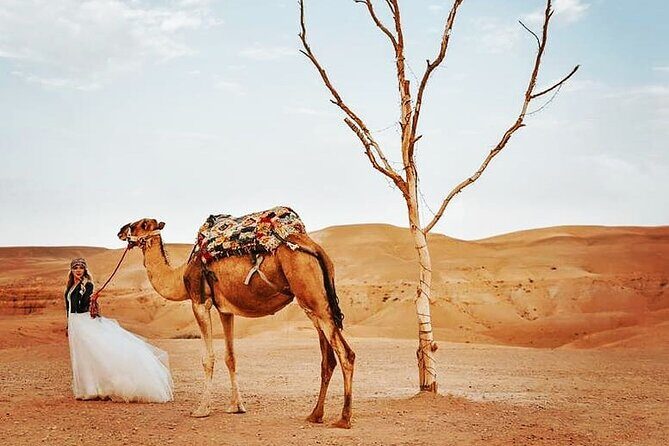 Agafay Desert and Atlas Mountains Day Tour - A Full Breakdown of the Experience