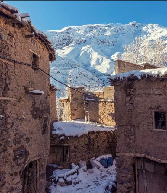 Agafay Desert & Atlas Mountain & Camel Ride Day Trip & Lunch - Authentic Experiences and Hidden Gems