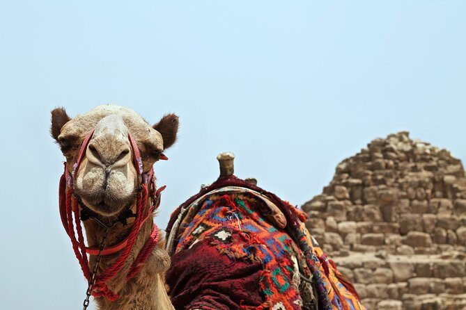 Agafay Desert Camel Ride - Half Day Trip - private tour - The Cultural Experience: Lunch and Authentic Hospitality
