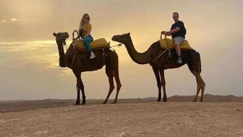 Agafay Desert Camel Ride & Sunset & Dinner - What to Expect from the Tour 