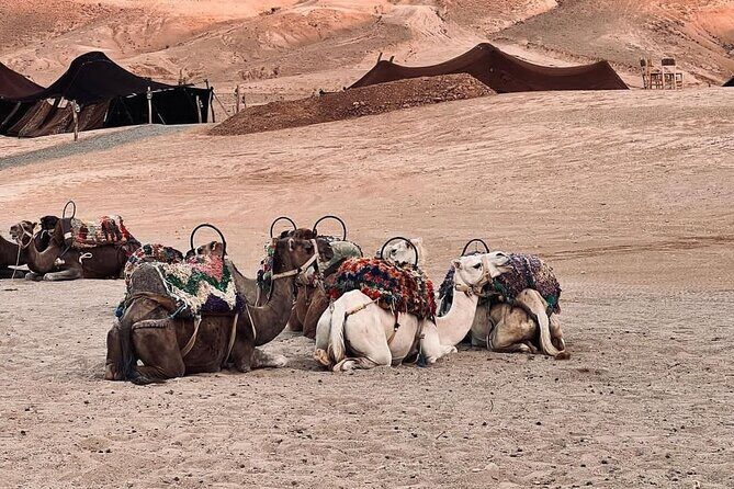 Agafay Desert Camel Ride With Dinner And Sunset Spectacle - FAQs