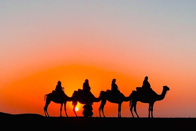 Agafay Desert Camel Ride with Dinner - Key Points