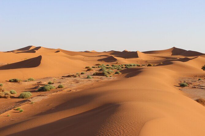 Agafay Desert Camel riding with sunset and dinner and berber show - Who Is This Tour Best For?