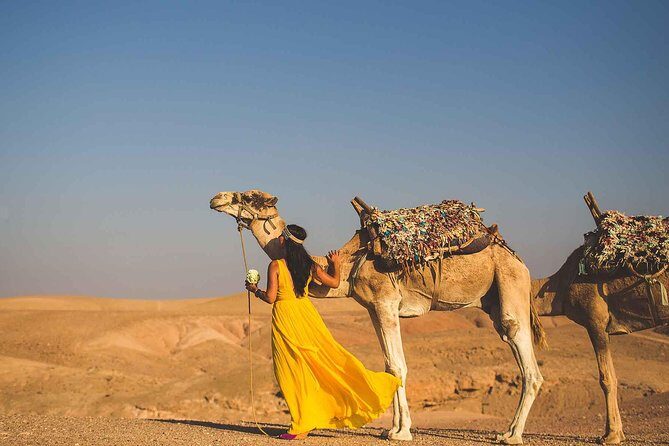 Agafay Desert Day Trip From Marrakech & Camel Ride - Authenticity & Review Insights