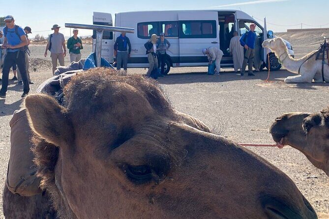 Agafay Desert Day Trip From Marrakech - Authentic Experiences Highlighted by Reviewers