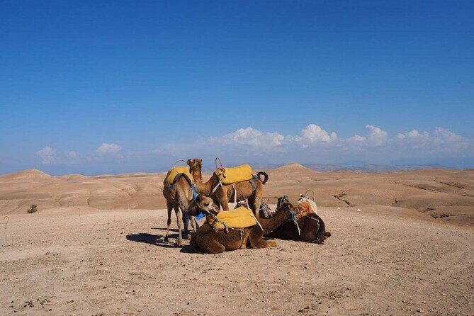 Agafay Desert Day Trip From Marrakech - The Sum Up