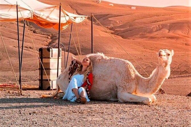 Agafay Desert: Dinner + Show with Quad Bike & Sunset Camel Ride - The Bottom Line: Who Should Book This Tour?