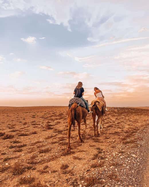 Agafay Desert Escape: Sunset Dinner, Pool & Quad/Camel - What Makes This Tour Stand Out?