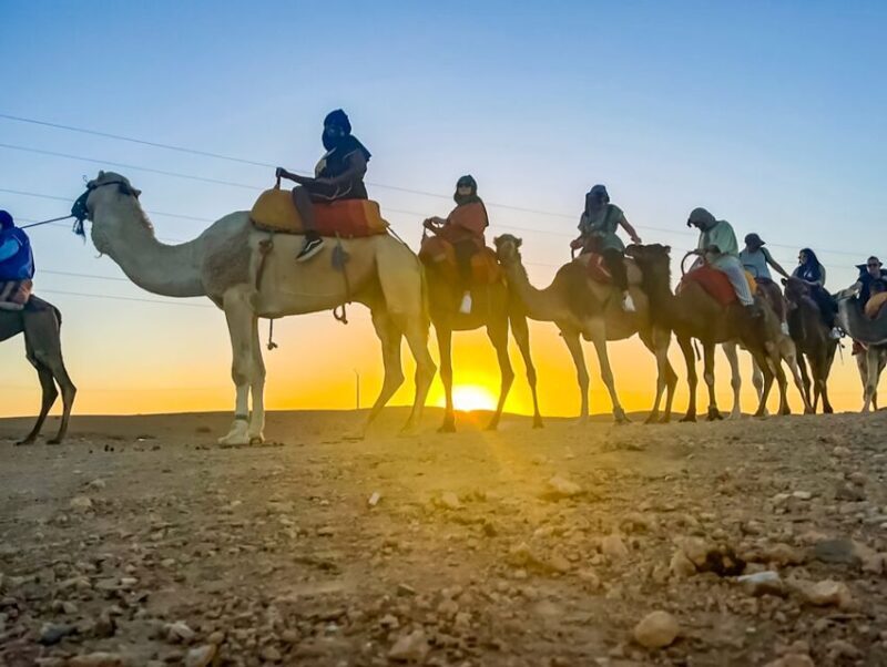 Agafay Desert Escape: Sunset Dinner, Pool & Quad/Camel - Who Should Consider This Experience?