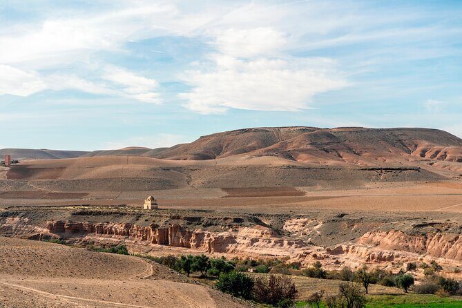 Agafay Desert Experience:Quad Biking,Camel Ride and Dinner Show - Who Will Love This Tour?
