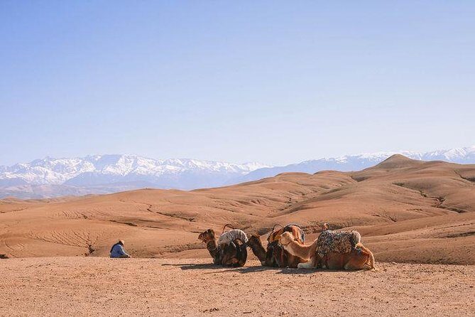 Agafay Desert Full-Day Trip From Marrakech And Berber Villages & Camel Ride - Lunch with a View