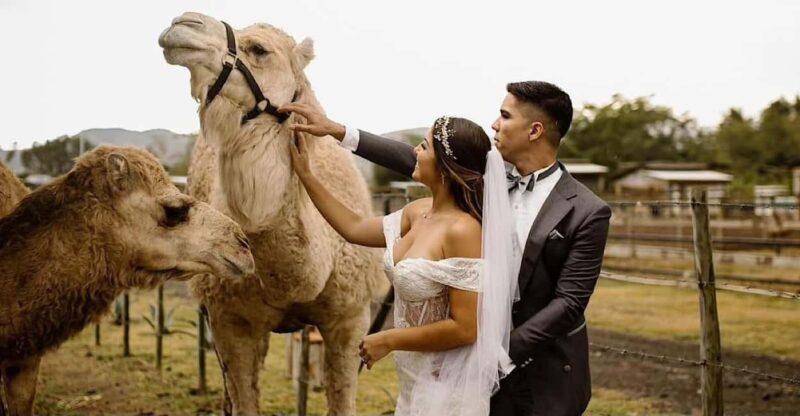 Agafay Desert Moroccan Luxury Wedding Ritual-Full Experience - Moroccan Dinner and Night Under the Stars