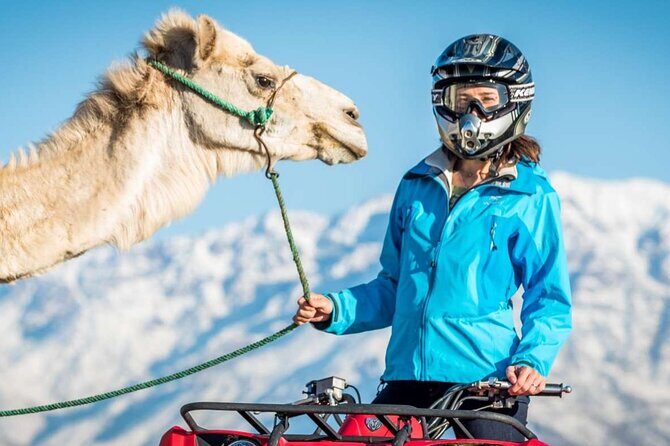 Agafay Desert Package : Quad Bike, Camel Ride and Dinner Show - Key Points