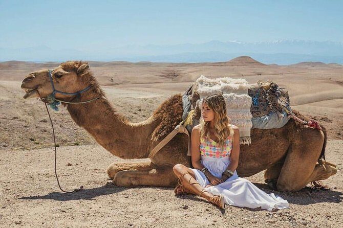 Agafay Desert Package : Quad Bike, Camel Ride and Dinner Show - Authentic Experiences from Other Travelers