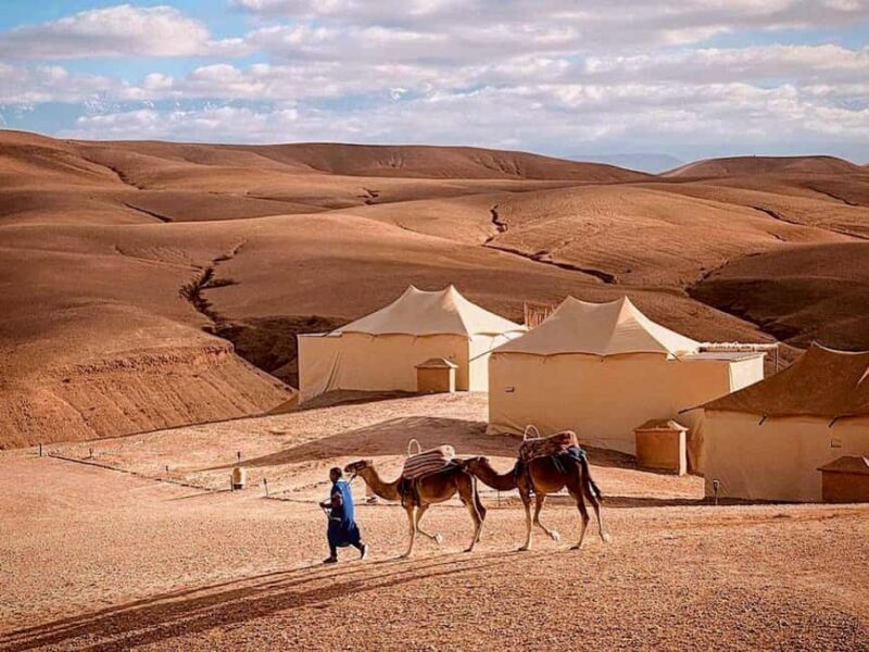 Agafay Desert Package, Quad Bike, Camel Ride and Dinner Show - A Detailed Look at the Agafay Desert Experience
