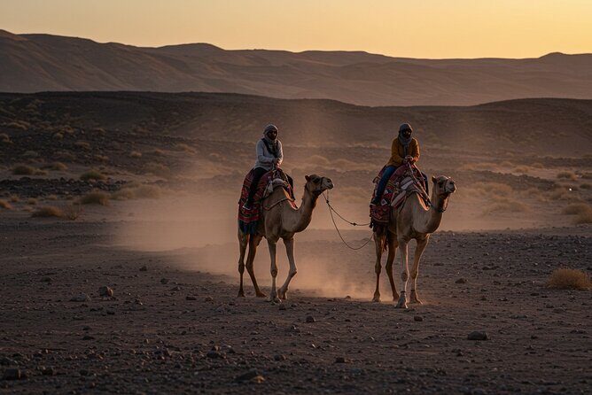Agafay Desert Package, Quad Bike, Camel Ride with Dinner Show - Why This Tour Works