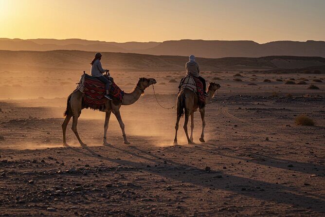 Agafay Desert Package, Quad Bike, Camel Ride with Dinner Show - Who Will Love It
