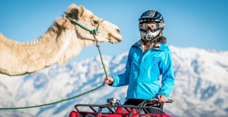 Agafay Desert: Quad Bike and Camel Ride Adventure Tour - Key Points
