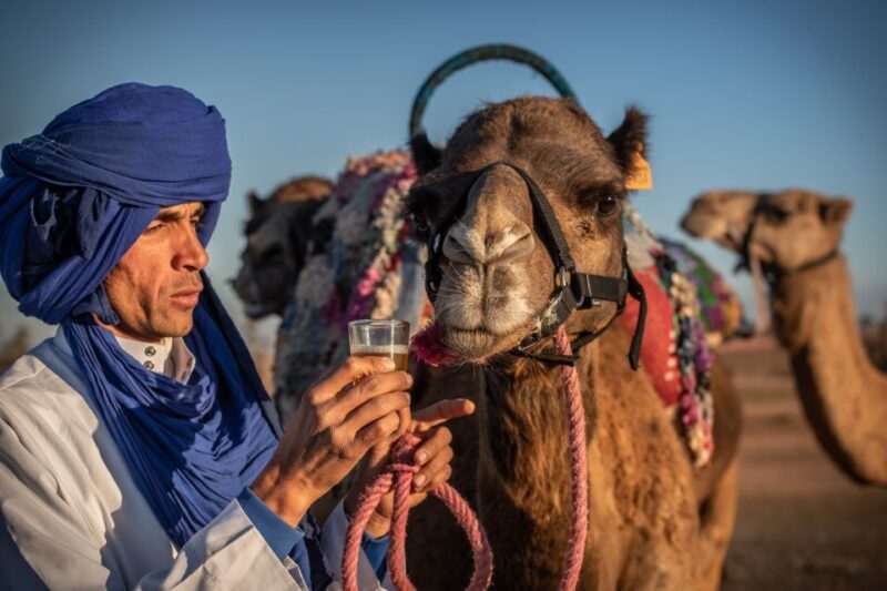 Agafay Desert: Quad Bike and Camel Ride Adventure Tour - Camel Riding: A Traditional Moroccan Experience