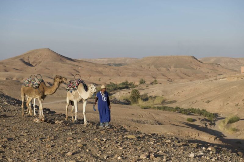 Agafay Desert: Quad Bike and Camel Ride Adventure Tour - Final Words