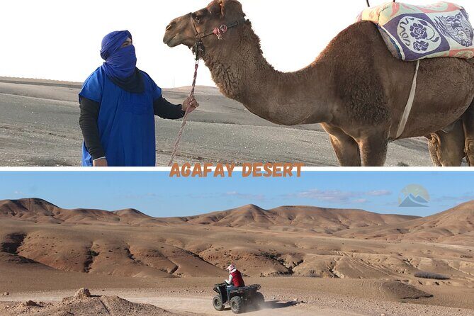 Agafay Desert : Quad Bike and Camel Riding Experience - The Sum Up