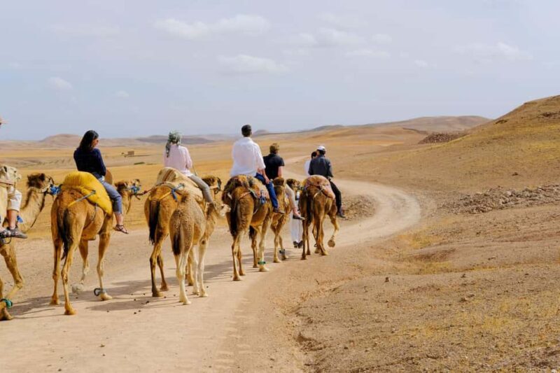 Agafay desert: quad bike and sun set camel ride with dinner - Key Points