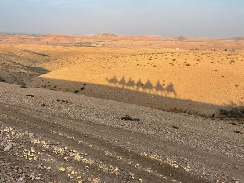 Agafay Desert: Quad Bike, Camel Ride and Dinner Show - Key Points