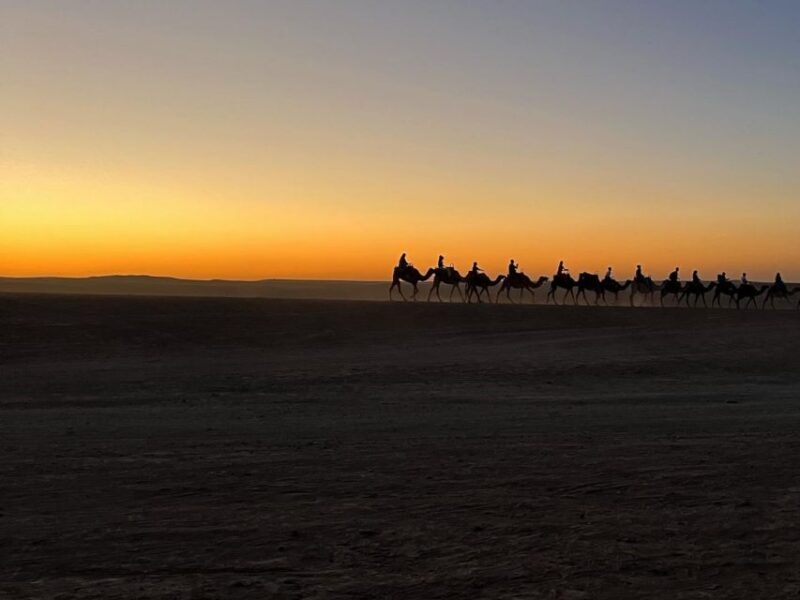 Agafay Desert: Quad Bike, Camel Ride and Dinner Show - FAQ