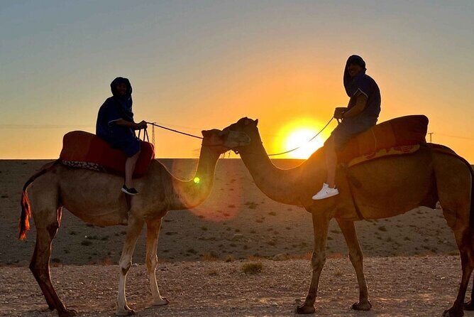 Agafay desert : Quad biking and camels and dinner with show - The Scenic and Cultural Highlights