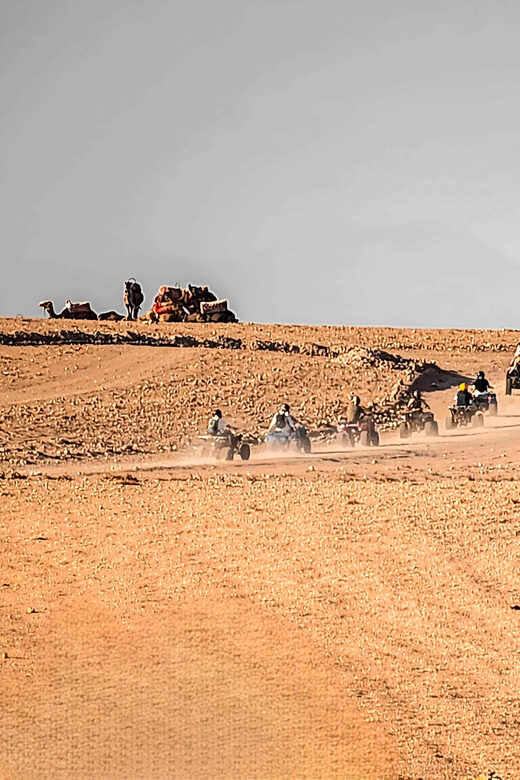 Agafay Desert: Quad Biking, Camel Ride, Lunch & Pool - Genuine Insights from Reviewers