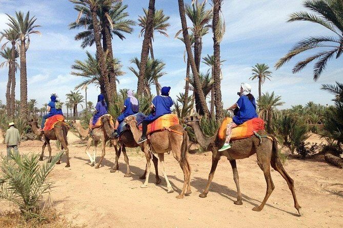 Agafay Desert Quad Biking from Marrakech through Takerkoust Lake - What You Can Expect on This Tour