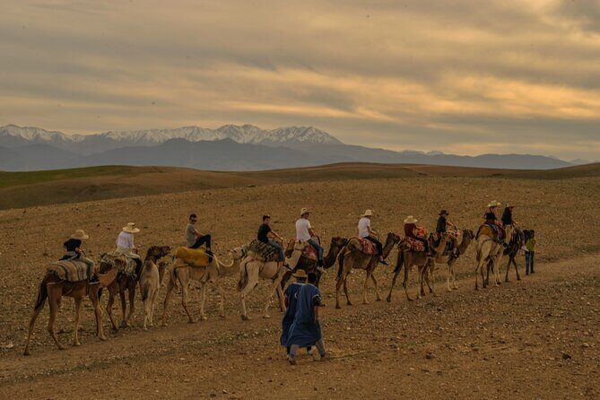 Agafay desert - Quad, camel, and dinner show - FAQ