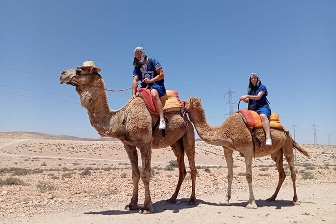 Agafay Desert :Quad or Camel with Lunch and pool or Dinner & Show - Key Points