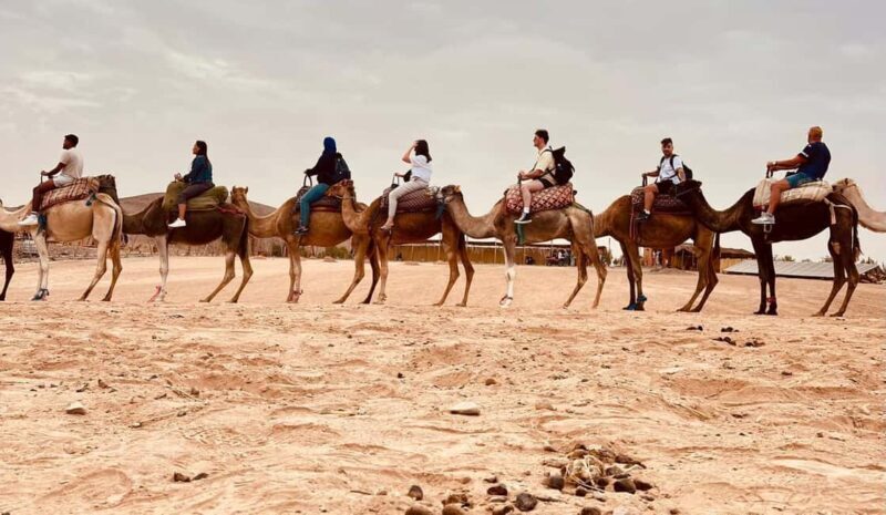 Agafay Desert : Quad Ride, Camel Experience & Dinner Show - Introduction: An Adventure Just Outside Marrakech
