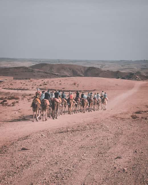Agafay Desert: Quad & Sunset Camel Ride with Dinner Show - What the Tour Includes and What to Expect