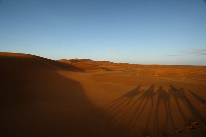 Agafay Desert Sunset, Camel Ride and Dinner from Marrakech - Discover the Magic of the Agafay Desert Sunset, Camel Ride, and Dinner from Marrakech
