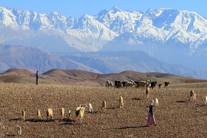 Agafay Desert sunset, camel ride, dinner - Key Points