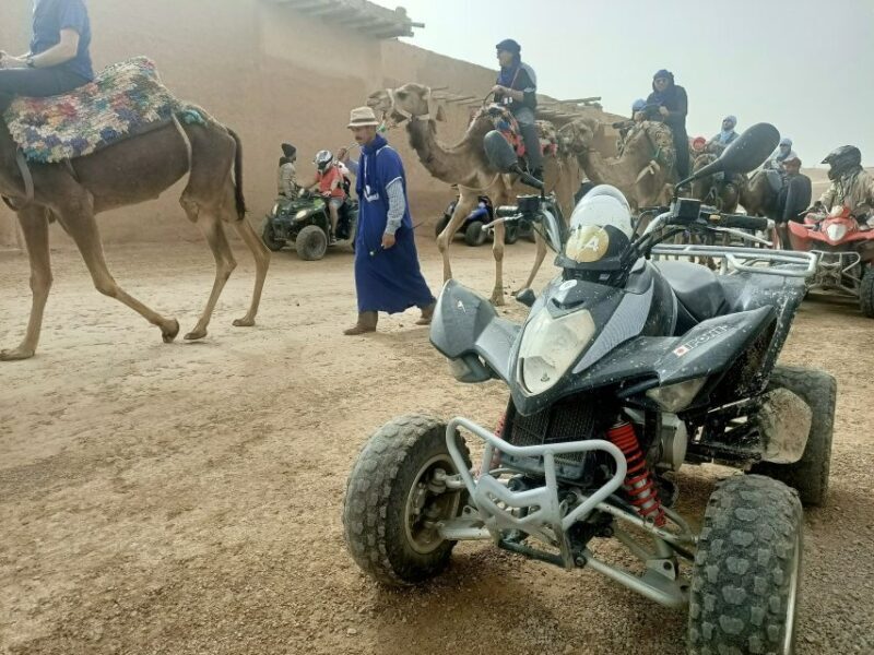 Agafay Desert Sunset Camel ride Experience with Dinner - Key Points