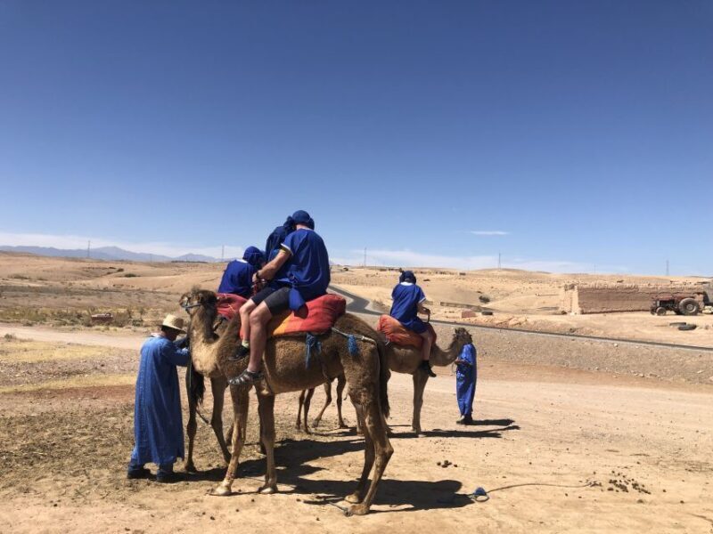 Agafay Desert Sunset Camel Ride - The Sum Up