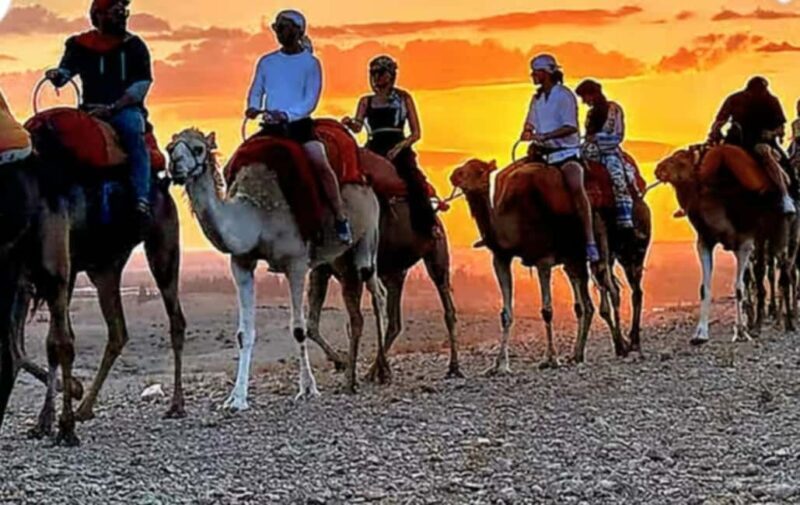 Agafay Desert: Sunset Camel Ride & Traditional Dinner - What to Expect from the Tour