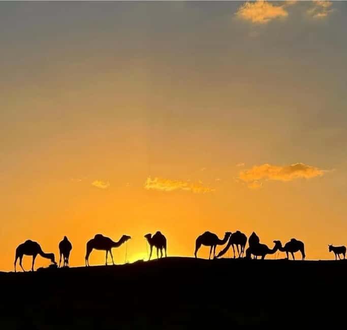 Agafay Desert: Sunset Camel Ride & Traditional Dinner - Final Thoughts: Who Will Love This Tour?