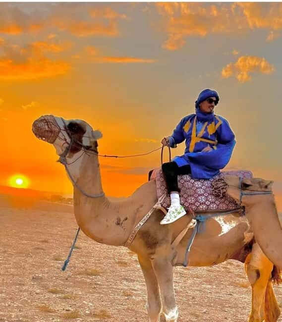 Agafay Desert: Sunset Camel Ride & Traditional Dinner - Frequently Asked Questions