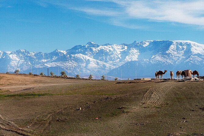 Agafay Desert Sunset tour with camel ride ,dinner and show - Key Points