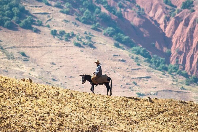 Agafay Desert: Three Valley Guided Tour From Marrakech - FAQs