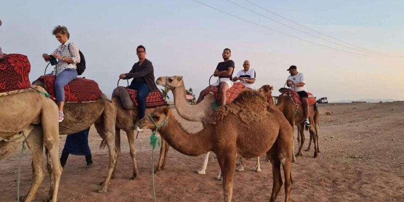 Agafay Desert Tour Adventure from Marrakech - The Sum Up